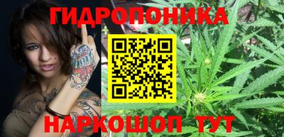 гашик Новозыбков