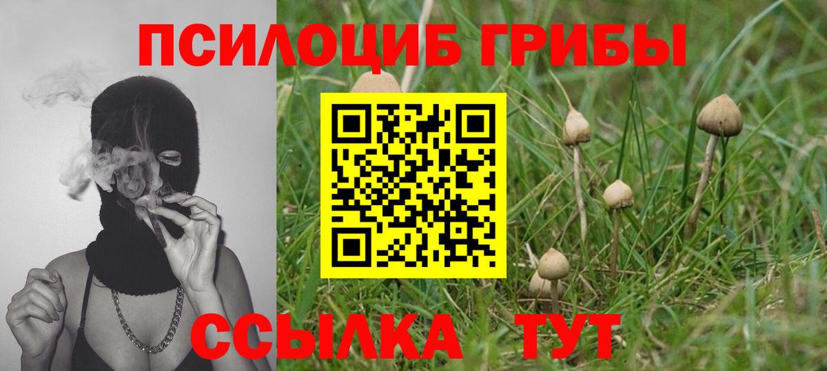 Южно-Сахалинск  Псилоцибиновые грибы Cubensis  Псилоцибиновые грибы ЛСД  Вход с VPN 